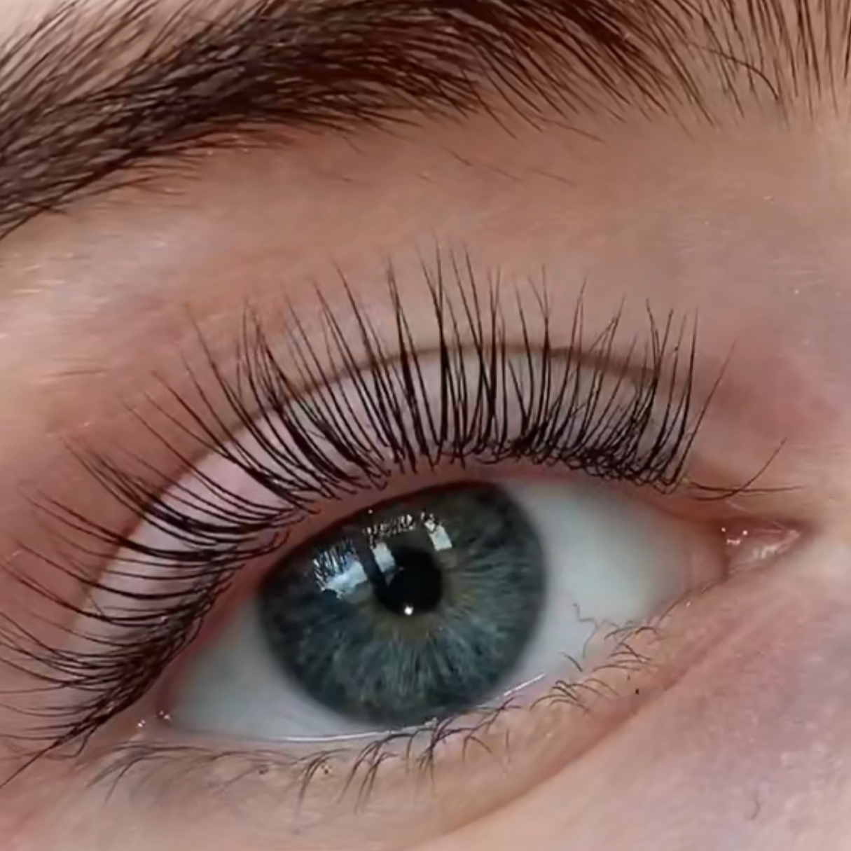 Curso PDF Lashes + Lifting + Diseño de ceja + Laminado+ Microblading